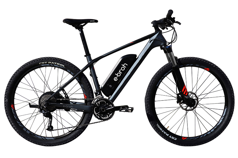 Bicicleta Eléctrica MTB M-200